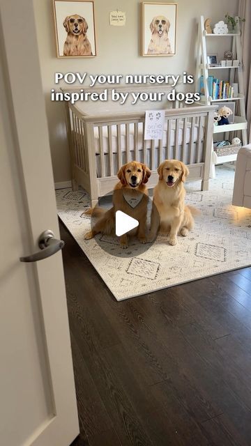 Boho Dog Nursery, Baby Boy Dog Nursery, Dog Baby Nursery, Golden Retriever Nursery, Baby Announcement With Dog, Dog Nursery, Big Sisters, Dog Baby, Boy Dog