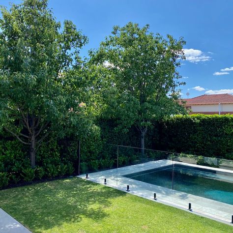 Mount Lawley | tristanpeirce Landscape Architecture Garden & Pool Design Perth Pool Structure, Garden Pool Design, Architecture Garden, Inspiring Outdoor Spaces, Backyard Trees, Outdoor Fireplace Designs, Pool House Plans, Pool Contractors, Pool Landscape Design