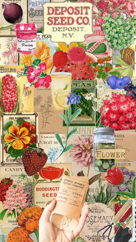 Seed packets in honor of my sprouting sunflowers and herb plants 🪴🥰 #seeds #gardening #plants #tomatoes #jam #vintage Tomatoes Jam, Herb Plants, Gardening Plants, Seed Packets, Planting Herbs, Tomatoes, Jam, Sunflower, Seeds