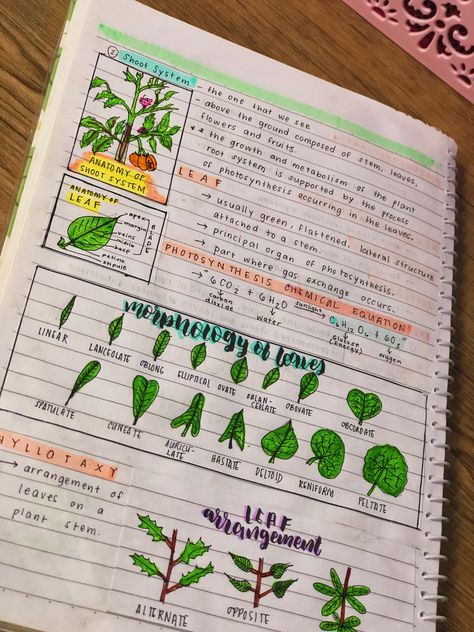 #studyveee #cutenotes #cute #notes #inspired Botany Notes, Bog Witch, Nature Font, Plant Notes, Information Board, Typed Notes, Notes Aesthetic, Aesthetic Notes, Study Flashcards