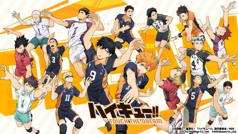 Haikyuu Game, Haruichi Furudate, Shōnen Manga, Player Card, Anime Decor, Dream Gift, Picture Icon, Haikyuu Manga, Simulation Games