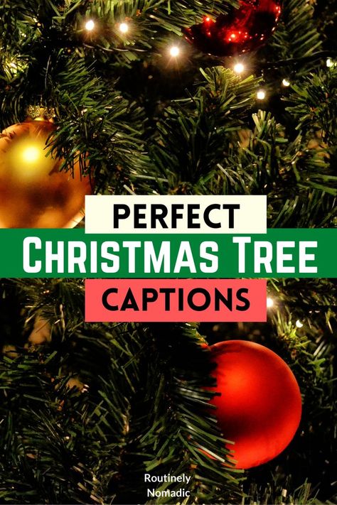 Decorations on a Christmas tree with the words Perfect Christmas Tree Captions Christmas Tree Captions, Tree Captions, Christmas Captions For Instagram, Best Wood For Carving, Short Christmas Quotes, Christmas Tree Quotes, Festive Aesthetic, The Perfect Christmas Tree, Christmas Quotes Inspirational