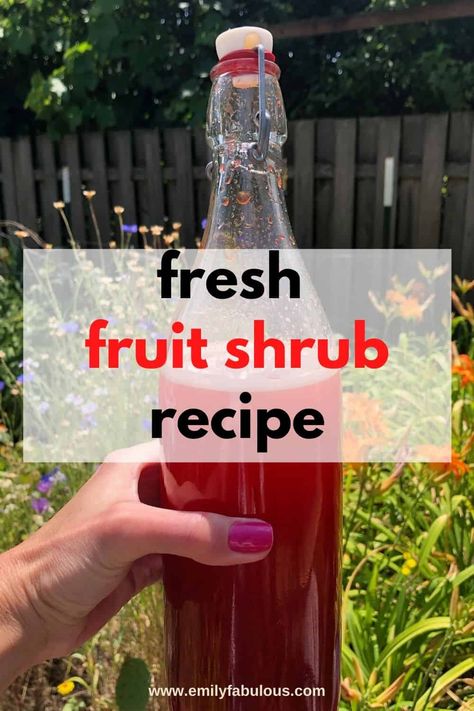 Cherry Shrub Recipe, Shrub Drink, Fruit Shrub, Shrub Recipe, Healthy Alcoholic Drinks, Vinegar Drinks, Drinking Vinegar, Italian Drinks, Craft Cocktail Recipe