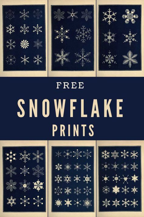 An extraordinary collection of vintage snowflake prints with over 120 drawings. All in the Public Domain, and exciting insights on snow. All free to download in high-resolution and copy-right free. The snowflake drawings are from observations of real snow crystals. Snowflake Images Free Printable, Snowflake Drawings, Snowflake Pictures, Pop Out Cards, Snowflakes Drawing, Snowflake Images, Snowflakes Art, Snowflakes Real, Dollar Store Christmas Crafts