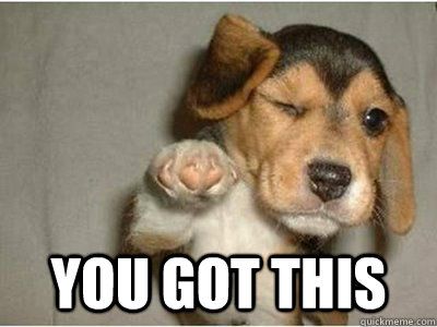 20 Best Memes To Let You Know That 'You Got This' | SayingImages.com Get Well Soon Meme, Congratulations Meme, Birthday Meme Dog, Kind Meme, Love Pictures For Him, Thank You Memes, Funny Memes For Him, Memes Amor, Love You Funny