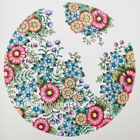 30 Days Of Creativity, Johanna Basford 30 Days Of Creativity, 30 Days Of Creativity Johanna Basford, Johanna Basford World Of Wonder, Johanna Basford World Of Flowers Coloring Pages, Johanna Basford Secret Garden Flowers, World Of Flowers Johanna Basford Skull, Johanna Basford Books, Joanna Basford Coloring