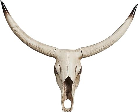 Cow Print Rug, Deer Head Wall Decor, Skull Sculpture, Skull Wall Decor, Longhorn Steer, Animal Head Wall, Resin Decoration, Skull Statue, Antler Wall