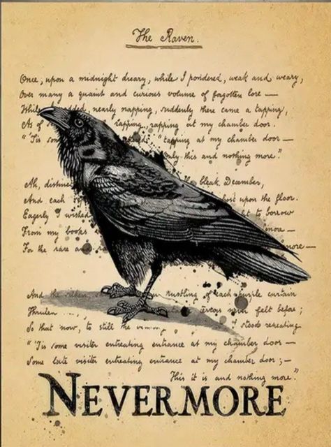 Creepy Poems, The Raven Poem, Goth Room, Goth Room Decor, Halloween Apothecary, Retro Style Posters, Rustic Decoration, Gothic Home, The Raven