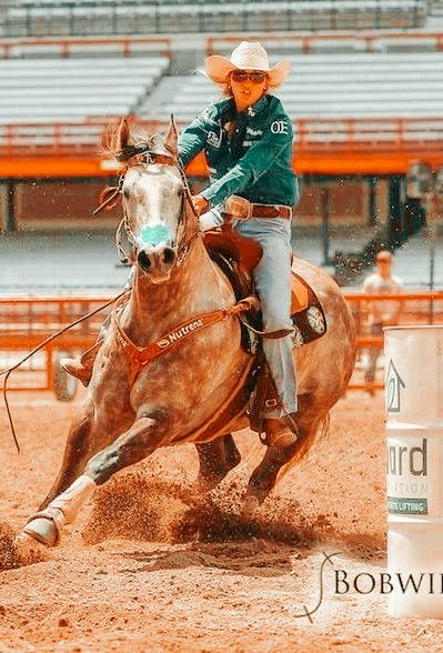 Barrel Racing, Rodeo, Barrel, Follow Me, Horses