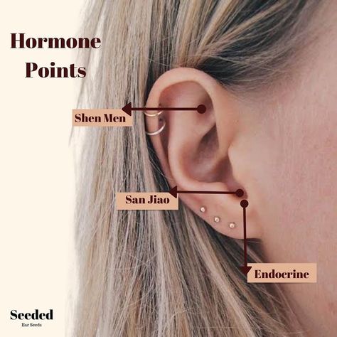 Ear Acupressure Points, Ear Reflexology, Ear Seeds, Acupuncture Clinic, Medicine Student, Acupuncture Points, Acupressure Points, Trigger Points, Medical Field