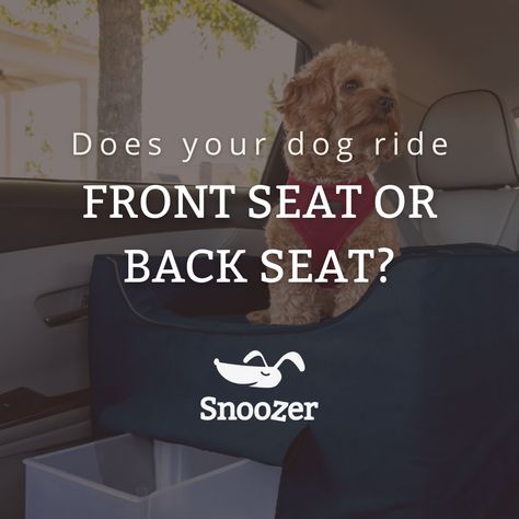 Pro tip: Our Snoozer Dog Car Seats are available for both console and regular seating! 👀 They're a great (and safe!) way to bring your smaller pup along for the ride!⁠ 🚗🐶⁠ Snoozer Dog, Luxury Console, Booster Seats, Relaxing Travel, Dog Line, Dog Seat, Booster Car Seat, Along For The Ride, Pet Car Seat