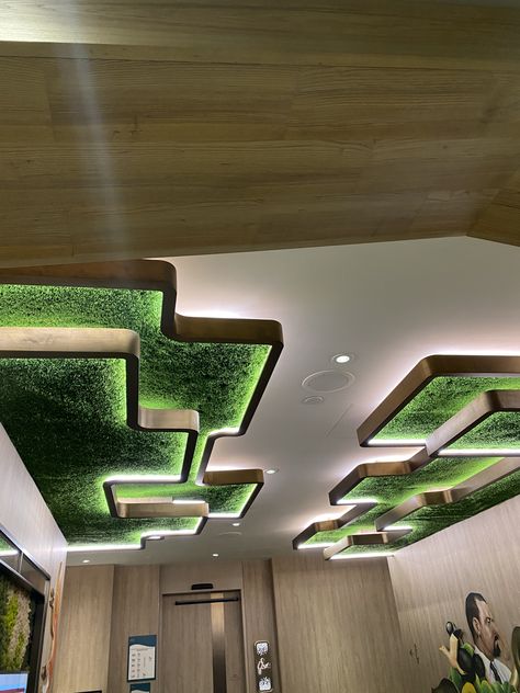 Artificial Ceiling, Cafe Design Inspiration, Green Wall Design, Light Green Walls, Artificial Grass Wall, Down Ceiling Design, Interior Design Portfolios, Ceiling Art, Hanging Ceiling Lamps