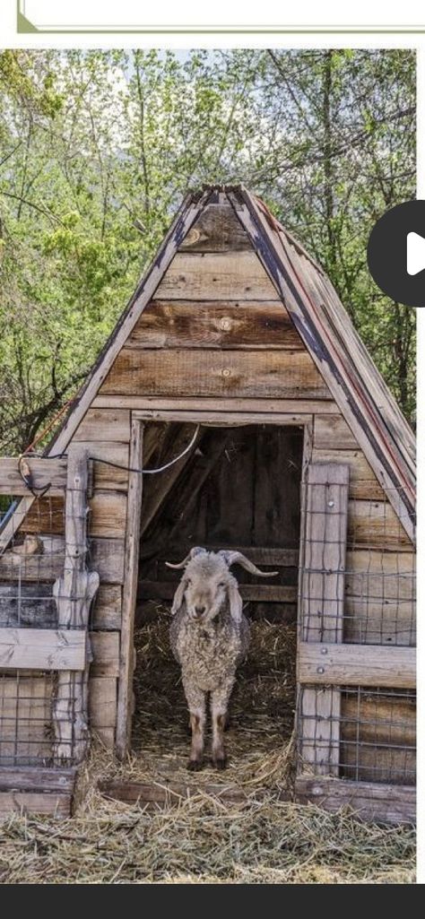 Goat Playground, Goat Shed, Goat Shelter, Goat Milking, Mini Goats, Goat House, Country Cottages, Outdoor Shelters, Animal Pen