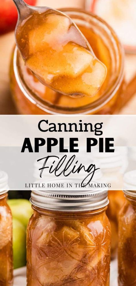 When it comes to canning recipes, it can be intimidating to get started when you're just getting started. This beginner-friendly recipe for Apple Pie Filling can be done in a water bath canner, and is a great way to get started with canning apples for food preservation. Recipe For Apple Pie Filling, Can Apple Pie Filling, Preserving Apples, Canning Apple Pie Filling, Recipe For Apple Pie, Raspberry Pie Filling, Water Bath Canning Recipes, Canning Apples, Apple Pie Filling Recipes