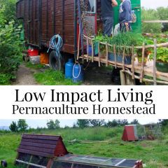 Permaculture Zones, Permaculture Homestead, Homesteading Skills, Permaculture Gardening, Permaculture Design, Survival Gardening, Urban Homesteading, Food Forest, Homestead Survival