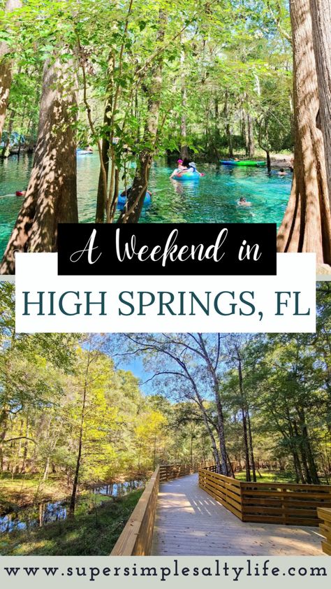 Finding the Best Springs in High Springs, Florida • Explore Florida • The Simple Salty Life High Springs Florida, Bonita Springs Florida, Blue Springs State Park, Quick Weekend Getaways, Spring Getaway, Florida Springs, Springs Florida, Farm Tour, Local Brewery