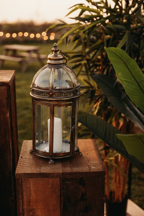 This image shows a display area at an outdoor wedding. The image focuses on a vintage french style lanterns with a candle inside on wooden plinths. Surrounding the plinths are potted trees. In the background are warm fairy lights and a bench set. Farm Photography, Vintage Lanterns, Wedding Props, Potted Trees, Wedding Aesthetic, Photography Props, French Style, Vintage French, Thyme