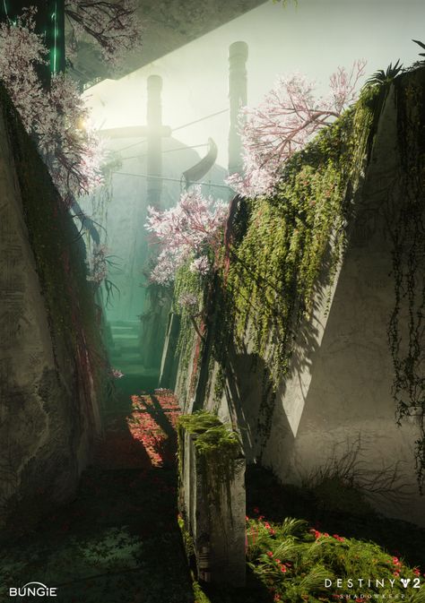 Vex Destiny, Garden Of Salvation, Destiny 2 Shadowkeep, Story Concepts, Drawing Help, Destiny Game, Natural Palette, Game Environment, Black Garden