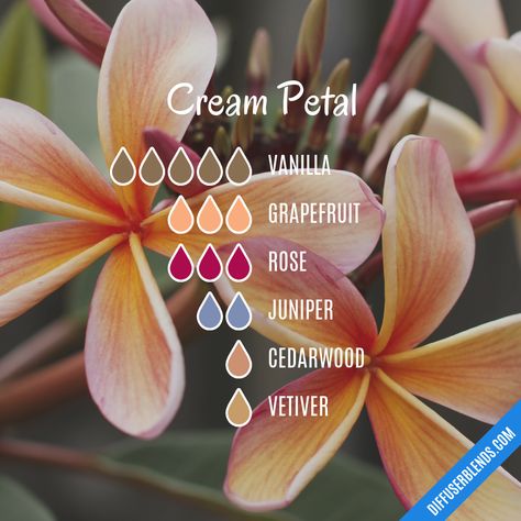 Fertility Blend, Essential Oil Combinations, Magia Das Ervas, Essential Oil Diffuser Blends Recipes, Essential Oils Herbs, Essential Oil Diffuser Recipes, Oil Diffuser Recipes, Essential Oil Mixes, Essential Oil Blends Recipes