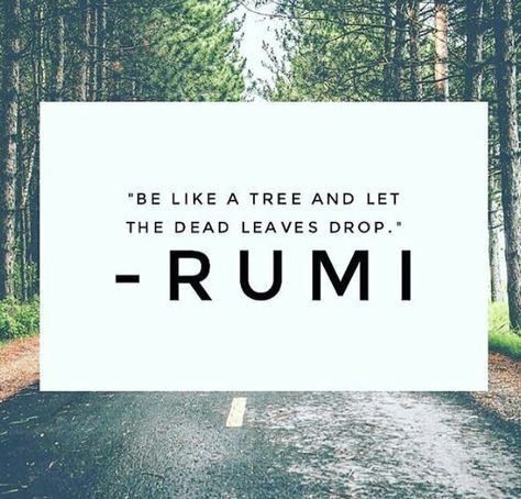 Be like a tree quote... #inspiration #inspirationalquotes Be Like A Tree Quotes, Yoga Thoughts, Dead Leaves, Tree Quotes, Rumi Love Quotes, Rumi Love, Quote Inspiration, Rumi Quotes, Yoga Quotes