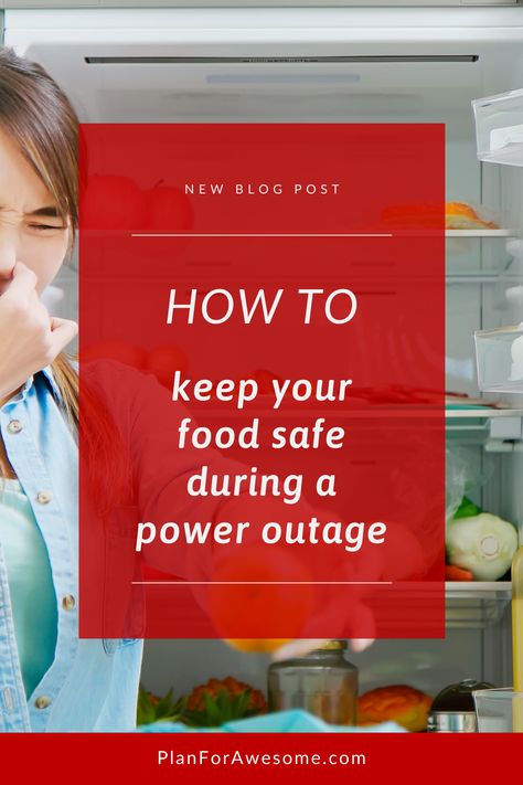 When it comes to emergency preparedness, power outage food safety is something everyone should be prepared for. Power outages can strike at any time, for any reason. Planned or unplanned power outages will certainly disrupt your daily life and you want to do everything you can to not have to throw away all the food in your refrigerator and freezer. This new blog post will give you tips for what to do before, during and after a power outage in order to maximize your food's staying power. Power Outage Food, Food For Power Outage, Food To Store For Emergencies, Foods To Store For Emergency, What To Do In A Power Outage, How To Cook During Power Outage, Staying Warm During Power Outage, Emergency Preparedness Food Storage, Emergency Preparedness Food