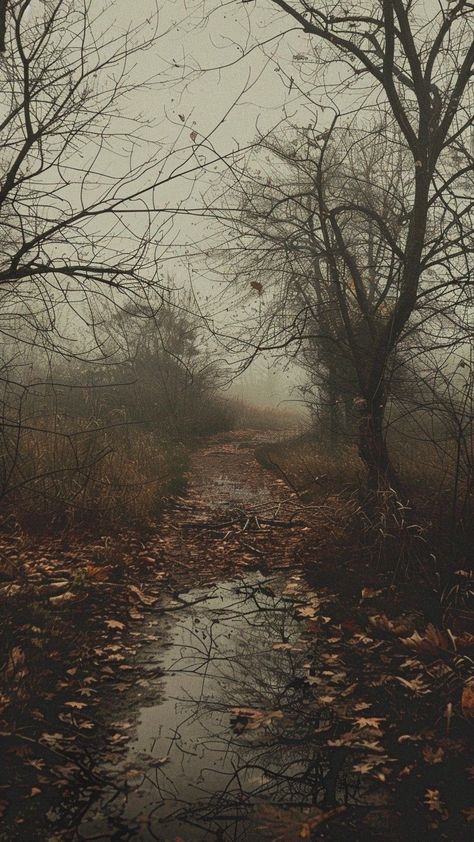 Old Landscape Photography, Brown Woods Aesthetic, Dark Autumn Vibes, Autumn Fog Aesthetic, Horror Asthetics Wallpaper, Moody Wallpaper Aesthetic, Autumn Witch Wallpaper, Dark Classic Aesthetic, Foggy Fall Aesthetic