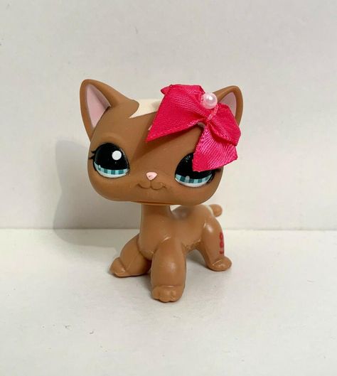 lps littlest pet shop RARE authentic brown shorthair cat #1170 Lps Shorthair Cat, Lps Shorthair, Rare Lps, Lps Littlest Pet Shop, Shorthair Cat, Almost Perfect, Littlest Pet Shop, Lps, First Class