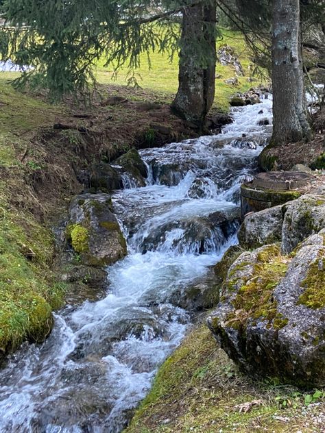 Brook Water Nature, Brooklyn Core, Goblin Market, Babbling Brook, Family Compound, Nature Witch, Design Homes, Hippie Life, Spring Nature