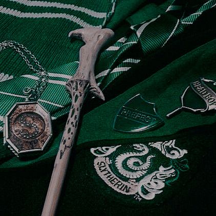 Harry Potter Wall, Harry Potter Background, Draco Malfoy Aesthetic, Slytherin Pride, Slytherin Harry Potter, Images Harry Potter, Slytherin House, Harry Potter Houses, Hogwarts Aesthetic