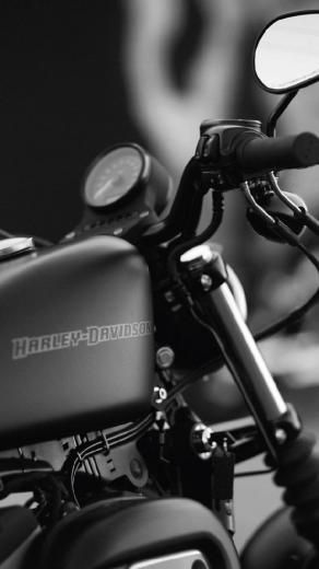 Harley Davidson Harley Davidson Iron 883 Wallpaper, Harley Davidson Wallpaper Iphone, Iron Wallpaper, Harley Davidson Photos, Softail Bobber, Harley Davidson Dyna Super Glide, Harley Davidson Images, Harley Davidson Pictures, Harley Davidson Wallpaper