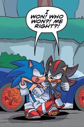 Shadow and Sonic Team Sonic Racing, Sonic Racing, Dik Dik, Shadow Sonic, Sonic Heroes, Sonic Funny, Sonic 3, Blue Hedgehog, Sonic Franchise