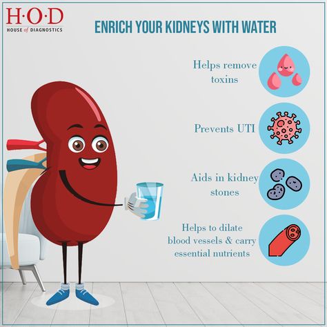 Did you know, up to 60% of the adult human body is water and every body part needs water to function properly. Your kidneys too, need water to perform many functions. Drink adequate water and let it be your kidney's best friend. #HOD #HouseofDiagnostics #Health #Healthcare #Care #HumanBody #Kidneys #DrinkWater World Kidney Day Poster, Health Care Poster Design Creative, Kidney Creative Ads, Supplement Packaging, Health Ads, Supplements Packaging, Posting Ideas, Health Post, Social Well Being