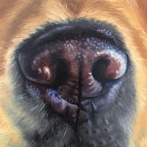 Dog Nose Painting, Dog Eyes Painting, Dog Paintings Acrylic, Dog Noses, Painting Dogs, Dog Portraits Painting, Dog Portraits Art, Drawing Animals, Animal Portraits Art