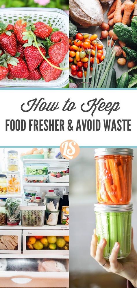 Keep fresh food fresh for longer and save money! Tips and tricks to save food and your money. Food storage hacks. Picnic Lunch Ideas, Quick Meal Prep Ideas, Cleaning Fruit, Keep Produce Fresh, Grocery List Healthy, Zero Food Waste, Salt Block Cooking, Shopping Healthy, Food Storage Hacks