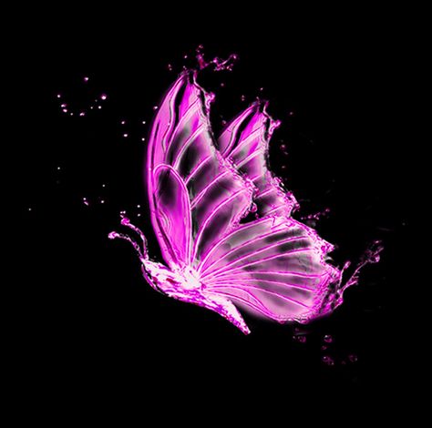 glowing neon pink butterfly Butterfly Png, Pink Butterfly, Neon Pink, Neon, Purple, Pink