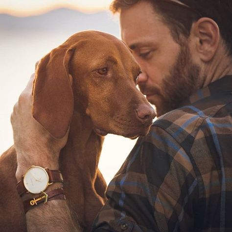 Dog Owner Photography, Dog Owner Photoshoot, Man With Dog, Dog Photoshoot Pet Photography, Dog Portrait Photography, Dog Photography Poses, Vizsla Dog, Paul Hewitt, Vizsla Dogs