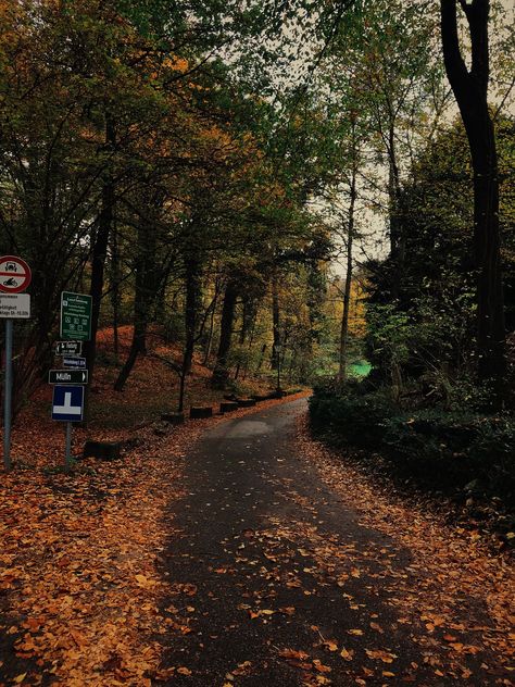 Salzburg, Austria. 2017. Fall. Shot on DSLR. Edited with VSCO. Late Fall Aesthetic, Fall Winter Aesthetic, Season Aesthetic, Fall Mood Board, Fall Mood, Salzburg Austria, Autumn Nature, Autumn Scenery, Fall Is Here