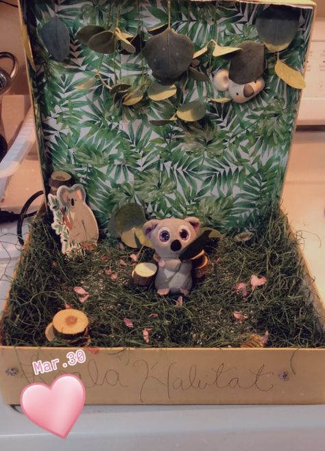 School Project Koala Habitat Koala School Project, Koala Habitat Diorama, Koala Diorama Project, Koala Habitat, Habitat Project, Diy Crafts For School, Reading Week, Habitats Projects, Environment Projects