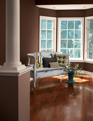 Create an elegant look using Polished Mahogany (SW 2838). Sw Polished Mahogany, Brown Living Room Paint, Living Room Color Ideas, Sherwin William, Room Color Ideas, Good Living Room Colors, Warm Neutral Paint Colors, Romantic Living Room, Decorating Rooms