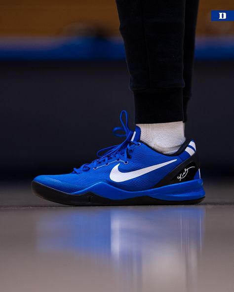 (2) Duke Women’s Basketball on X: "Kobe 8 Duke PEs 💙🐍 https://t.co/DXpCci5MkB" / X Kobe Shoes Basketball, Bball Shoes, Hoop Shoes, Kobe 8, I Love Basketball, Shoe Warehouse, Basketball Shoes For Men, Kobe Shoes, Best Basketball Shoes