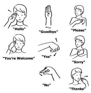 Sign language is a beautiful language. Now just to learn it. - Imgur Simple Sign Language, Asl Sign Language Words, Learning Sign Language, Learning Asl, Sign Language Chart, Sign Language For Kids, Sign Language Lessons, Sign Language Phrases, British Sign Language