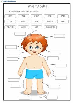 My Body Language: English Grade/level: Grade 2 School subject: English as a Second Language (ESL) Main content: Body Parts Other contents: Anatomy Body Parts, Body Parts For Kids, Human Body Worksheets, Body Parts Preschool, English Activities For Kids, Kindergarten Worksheets Printable, Environmental Studies, Human Body Parts, 2nd Grade Worksheets