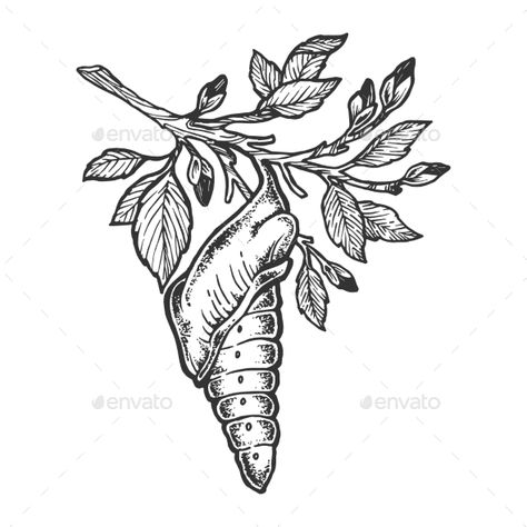 Butterfly Cocoon Drawing, Cocoon Drawing, Sketch Butterfly, Butterfly Cocoon, Colorful Butterfly Tattoo, Tree Sketch, Engraving Tattoo, Insect Tattoo, Hand Doodles