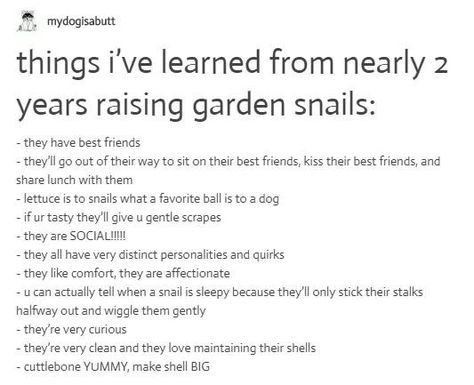 Garden Snails, Snail Pet Care, Garden Snail Care, Garden Snails As Pets, Snail Facts, Snail Farming, Pet Snails, Snail Meme Funny, Cool Bugs