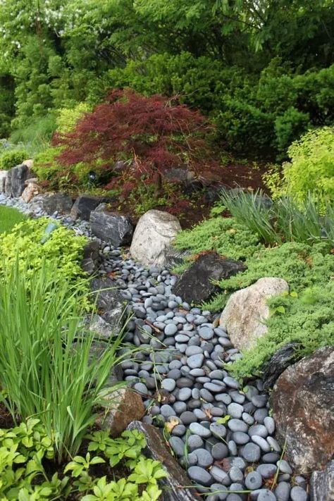 25 Inspiring Dry River Bed Landscaping Ideas in 2024 | Own The Yard Landscaping Natural, Landscape Design Program, Ideas For Front Yard, Unique Landscaping, Dry Stream, Japanese Gardens Design Ideas, Dry River, River Rock Landscaping, Stone Landscaping