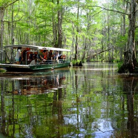 Virtual Tours | New Orleans New Orleans Swamp Tour, New Orleans Bayou, Louisiana Swamp, Swamp Tours, New Orleans Travel, Book Reviews, Tourist Destinations, Virtual Tour, Travel Dreams