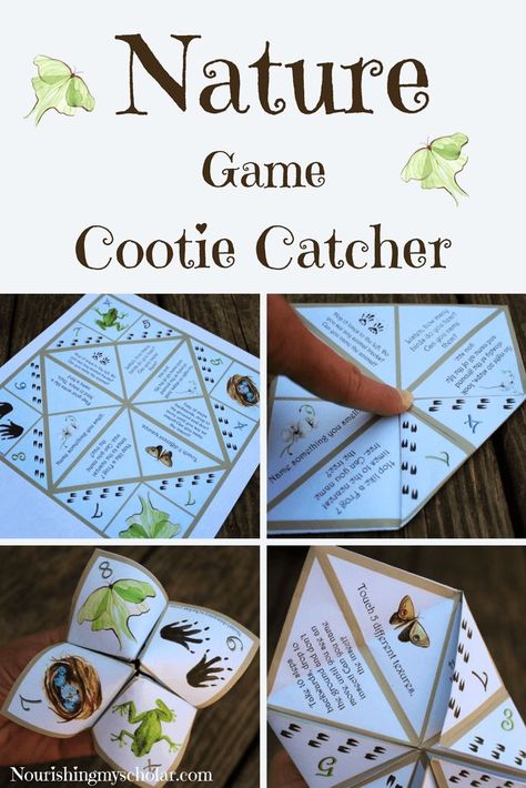 Nature Games, Homeschool Nature Study, Cootie Catcher, Forest School Activities, Fortune Tellers, Nature School, Outdoor Education, Nature Camping, Forest School