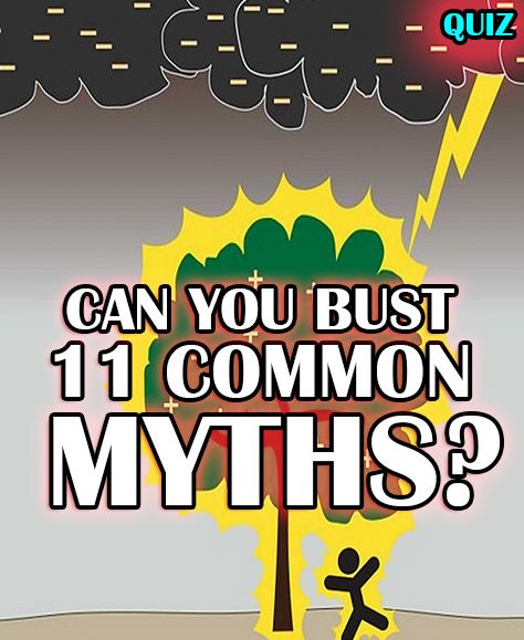 Can you determine which of these 12 common myths are true or false? Take the quiz to find out! Pop Quiz, Common Myths, Let's Have Fun, Homeschool Science, Not Afraid, Trivia, Other People, You Can Do, How To Find Out