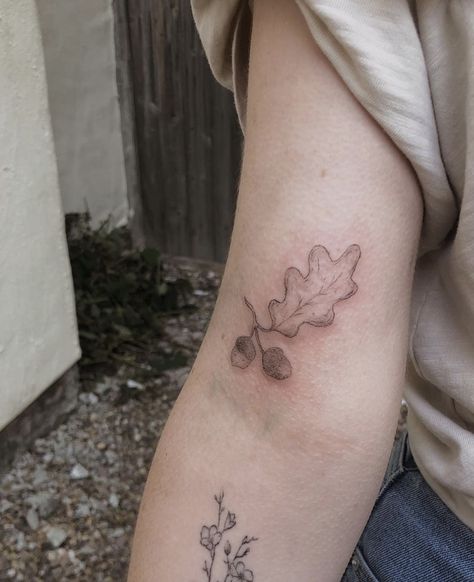 Acorn Branch Tattoo, Acorn Tattoo Meaning, Oak Tattoo, Acorn Tattoo, 2024 Tattoo, Oak Tree Tattoo, Tattoo Nature, Branch Tattoo, Piercing Ideas