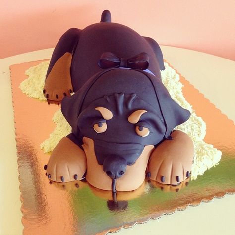 Rotweiler dog cake | Rottweiler Dog Cake by 2tarts Bakery New Braunfels, TX www.2tarts.com Rottweiler Cake Ideas, Rottweiler Cake, Gardening Cake, New Braunfels Texas, Puppy Cake, 3d Dog, Baking Fun, Adult Birthday Cakes, Animal Cakes